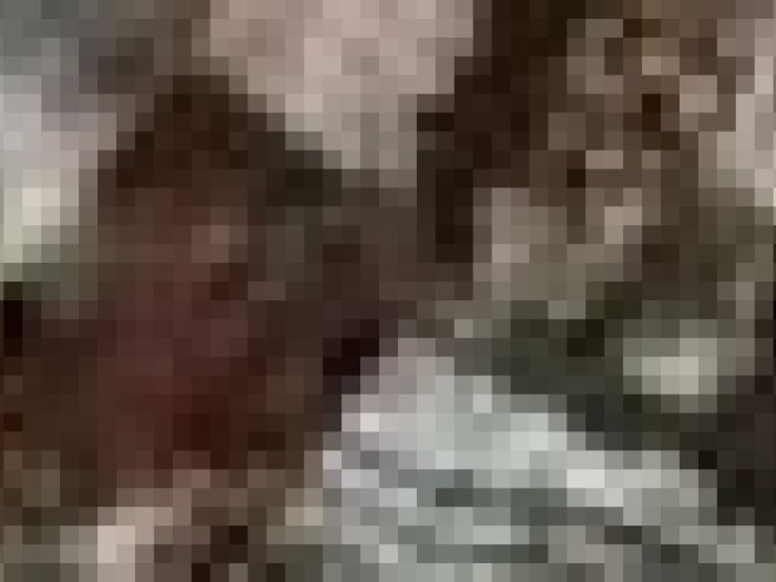 Archisio - Payanini The Stone Brand - Progetto Payanini