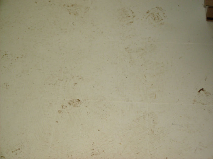 Archisio - Il Parquet - Progetto Pavimenti in legno per una vita