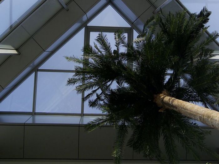 Archisio - Maurizio Giordano Architetto - Progetto Ristrutturazione palazzina uffici - interni e area parcheggio piantumata