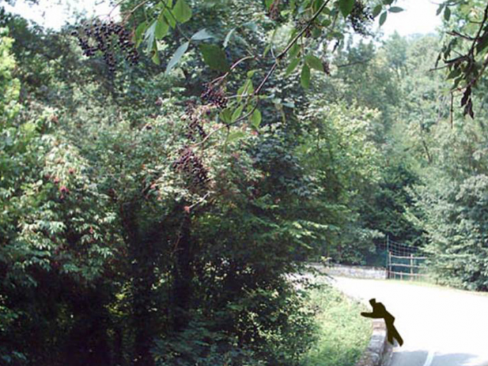 Archisio - Davide Stona - Progetto Mostra fotografica amarcord