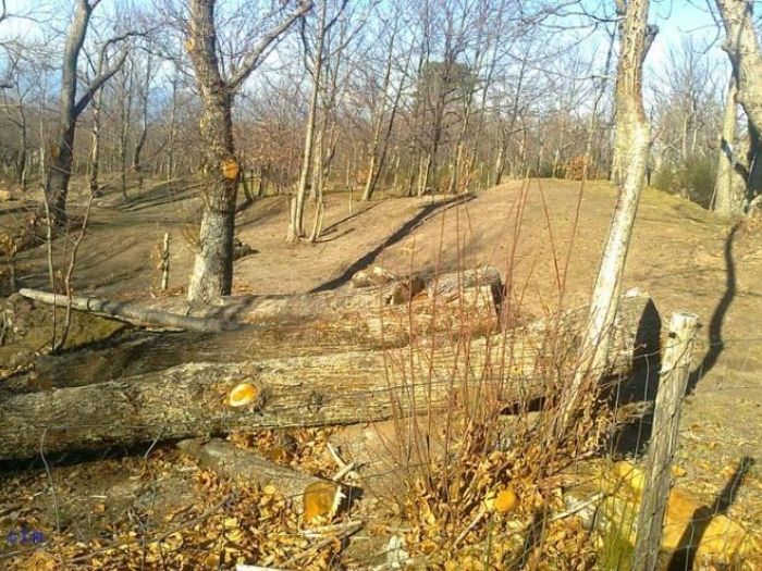 Archisio - Edilizia Ctm srl - Progetto Sistemazioni aree verdi