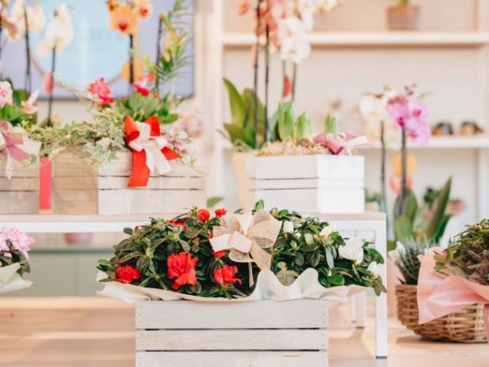 Archisio - 2310 Interior Designer - Progetto Fioreria