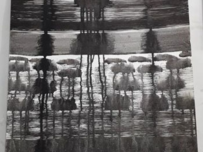 Archisio - Giovanna Somai - Progetto Nero dripping