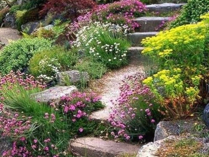 Archisio - Vivai Cantatore - Progetto Piante