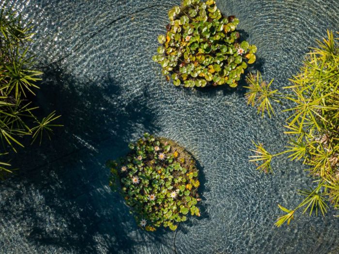 Archisio - Forme Dacqua - Progetto Biolago con vasca reflecting