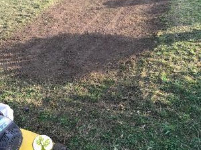 Archisio - Balduzzi Alessandra - Progetto Primavera tempo di arieggiare