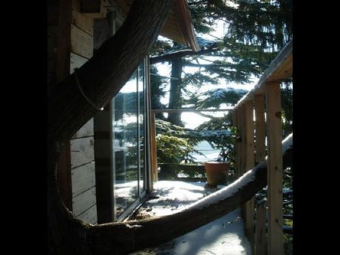 Archisio - Casalberi - Progetto Casetta tra gli alberi