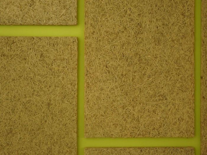 Archisio - Casimiro Forte - Progetto Antichi sapori