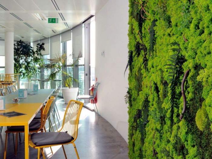 Archisio - Verde Passione - Progetto Pareti quadri vegetali