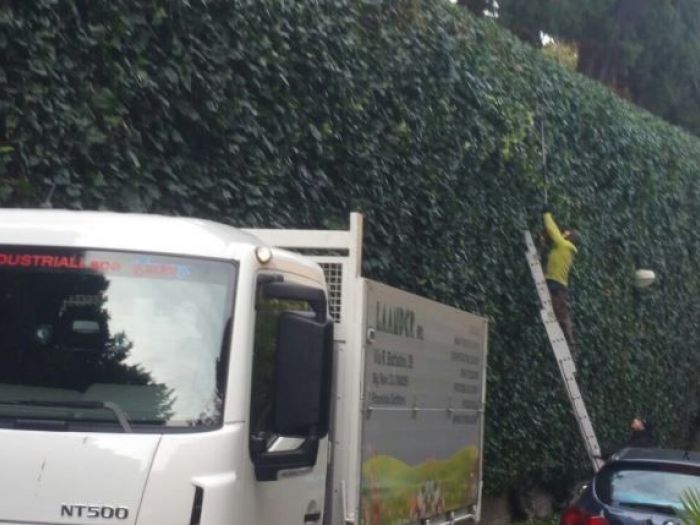 Archisio - Laandcr Giardinaggio - Progetto Derattizzazione