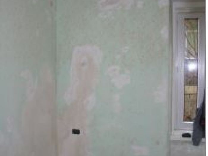 Archisio - Pittore Premolin - Progetto Carte da parati e altro