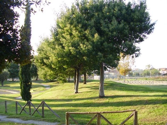 Archisio - Studio Di Architettura Mannelli - Progetto Parco pubblico in montalto di castro viterbo italy percorsi naturalistici nel parco archeologico della citt etrusco-romana di vulci italy