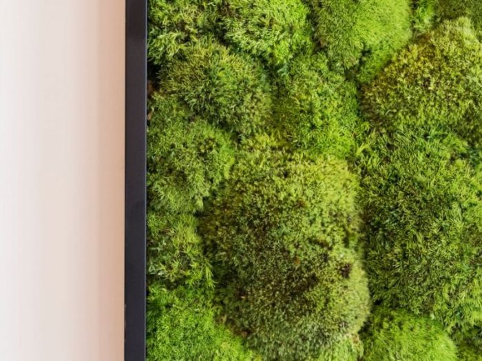 Archisio - Dfg Architetti - Progetto Abito verde showroom