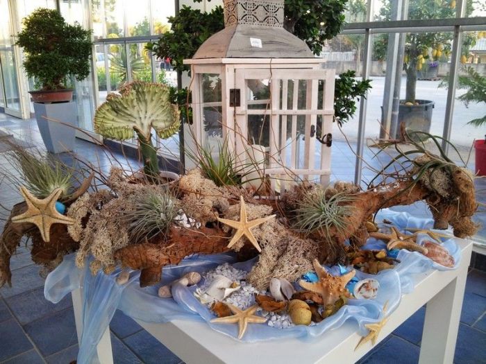 Archisio - Piante Macri - Progetto Il garden