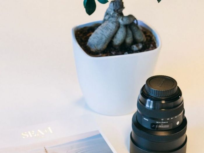 Archisio - Gabriele Giliberti - Progetto Casa 1811