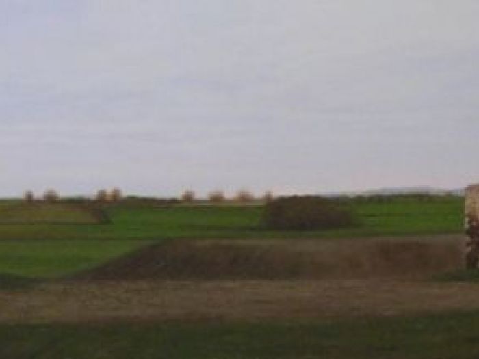 Archisio - Maurizio Ciccani Dipinti Ad Olio - Progetto Pittura