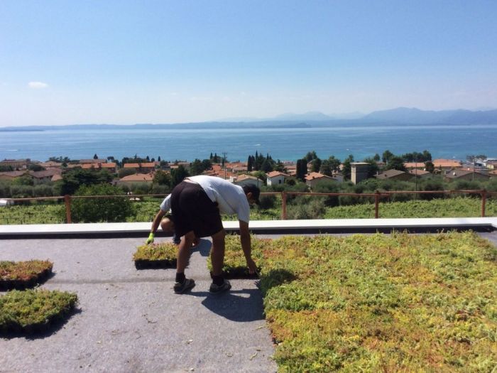 Archisio - Protego srl - Progetto Villa panoramica con tetto in soluzione giardino a basso spessore