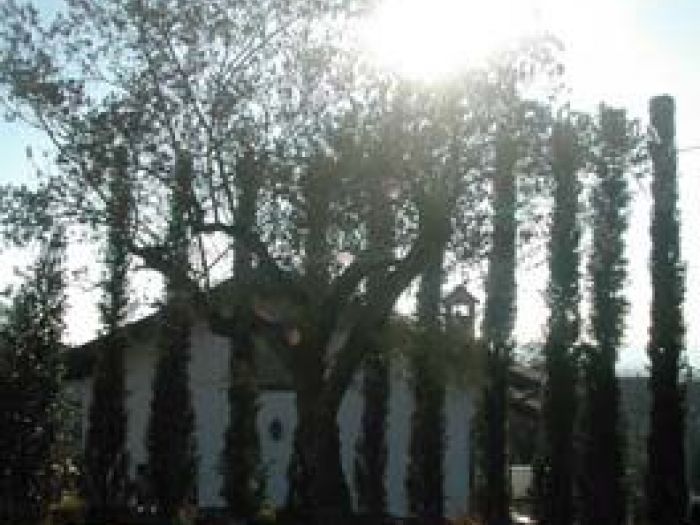 Archisio - Studio Di Agronomia E Architettura Del Paesaggio - Progetto Giardino privato