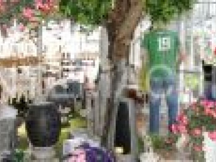 Archisio - Piante Macri - Progetto Il garden