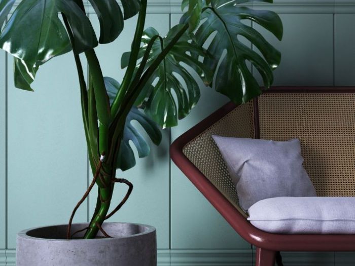 Archisio - Studio Gentile - Progetto Rattan project