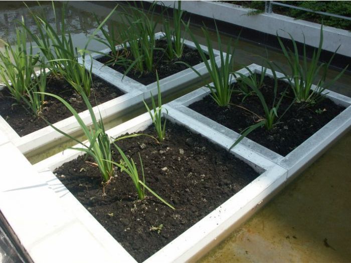 Archisio - D Materials - Progetto Caree planter