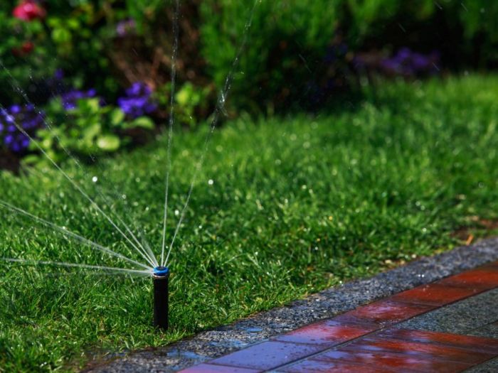 Archisio - Decorveronait - Progetto Impianti di irrigazione