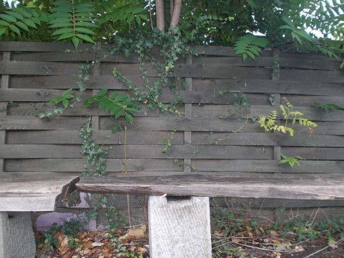 Archisio - Falegnameria Ferruzzi - Progetto Falegnameria