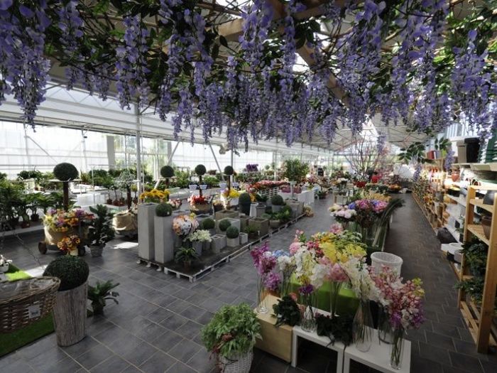 Archisio - Piante Macri - Progetto Il garden