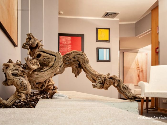 Archisio - Alessandra Cisternino - Progetto Hotel