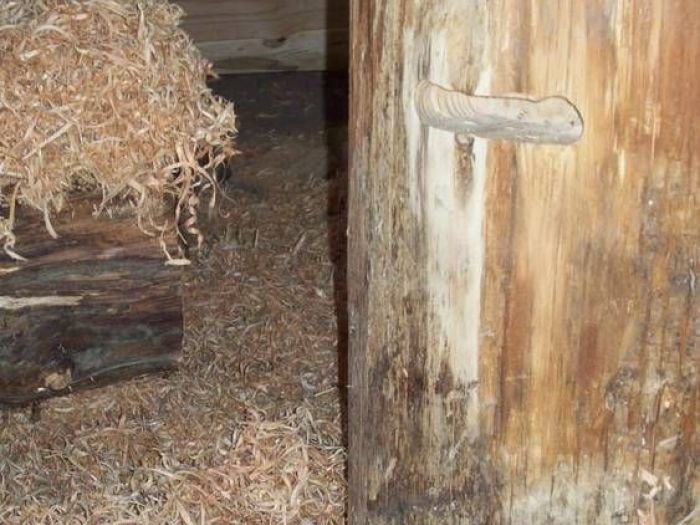 Archisio - Falegnameria Ferruzzi - Progetto Falegnameria