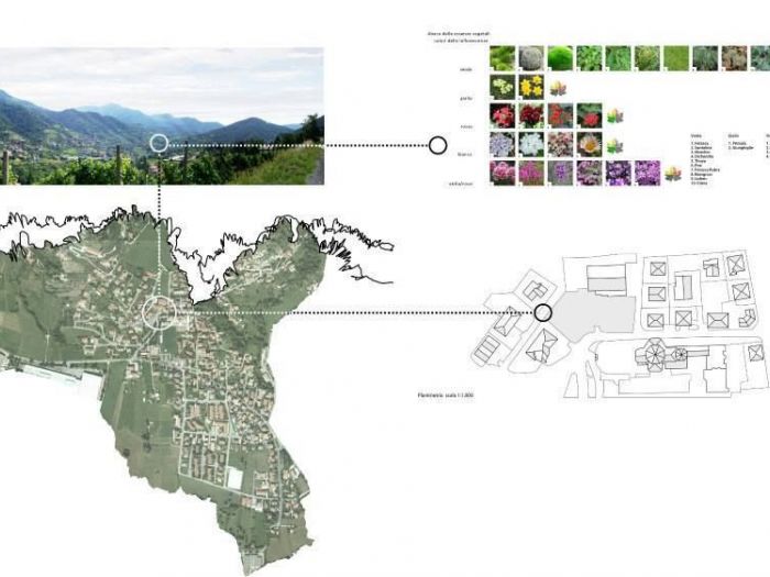 Archisio - Alfio Vassallo - Progetto Plant wall