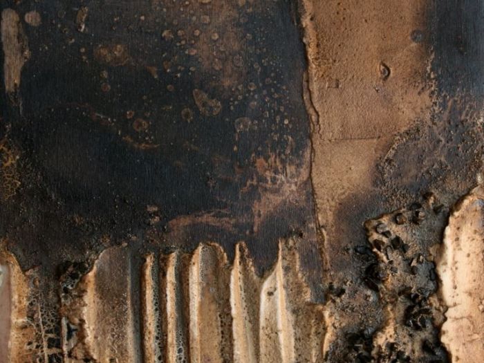 Archisio - Ester Maria Negretti - Progetto ESTER MARIA NEGRETTI