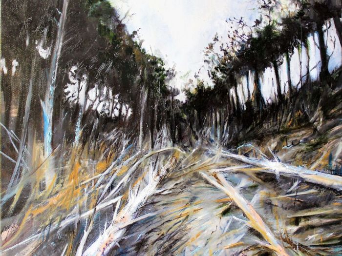 Archisio - Silvia Senna Arte - Progetto Landscape 11