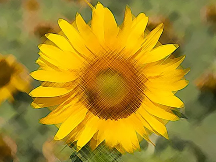 Archisio - Digital Art E Fotografia Dinterni Architettura - Progetto Immagini