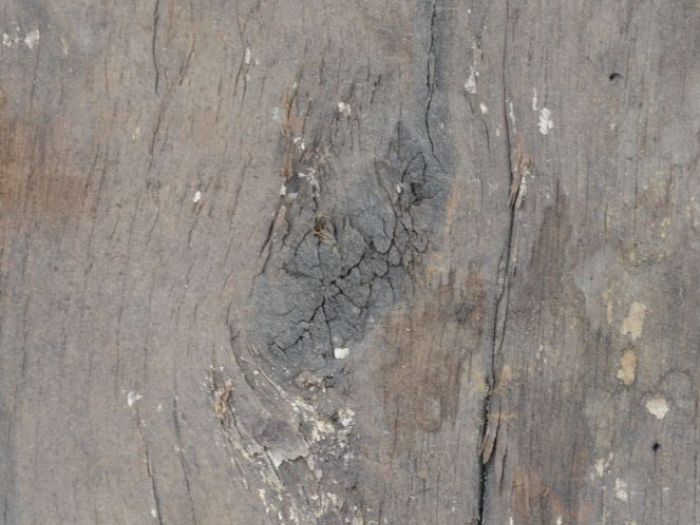 Archisio - Andrea Daguanno - Progetto Arredo