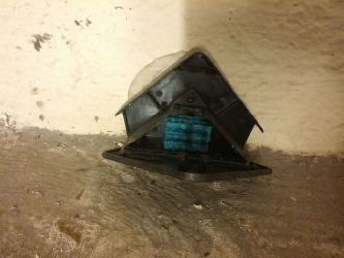 Archisio - Mustop - Progetto Derattizzazione