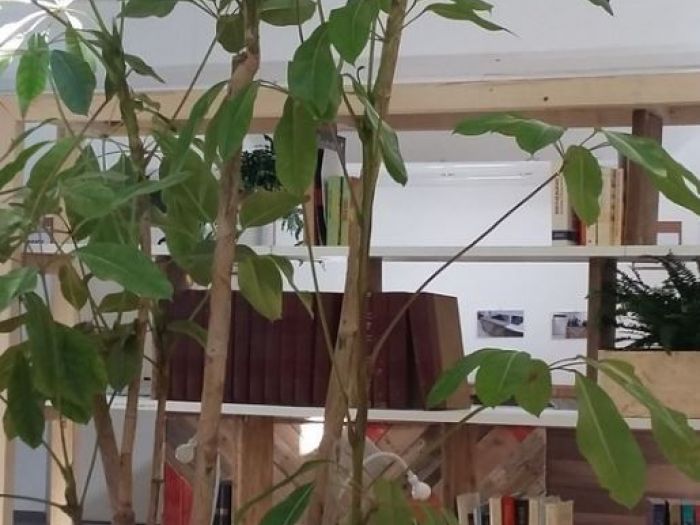 Archisio - Gabriele Fanuli - Progetto Autocostruzione