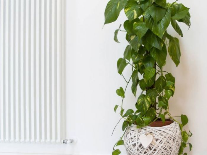 Archisio - Architetto Roberto Ferraro - Progetto New light