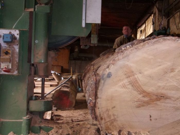 Archisio - Falegnameria Ferruzzi - Progetto Segheria