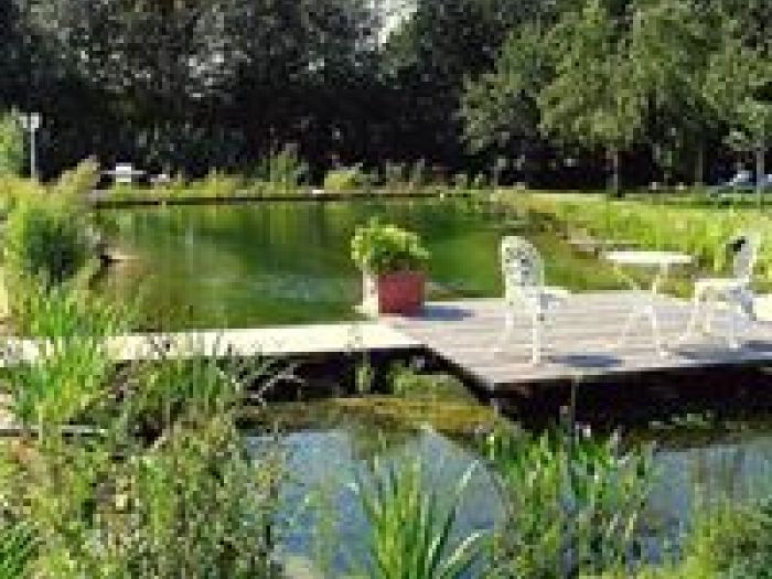 Archisio - Arqtropa Studio - Progetto Piscine naturali e vegetazione acquatica