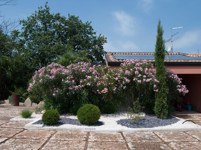 Archisio - Lugo Architettura Del Paesaggio - Progetto Realizzazione-ville e case private