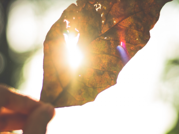 Archisio - Atech srl - Progetto Impianti solari termici