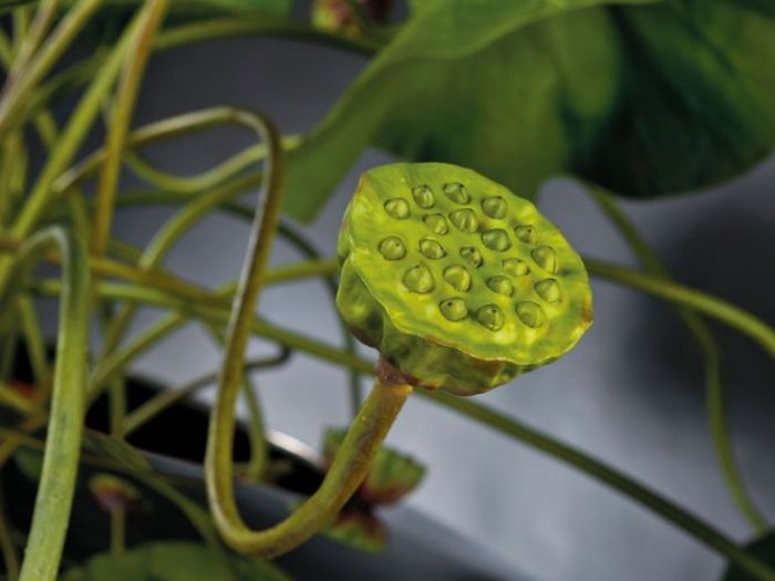 Archisio - Jupiter International srl - Progetto Set arrangement - composizioni floreali