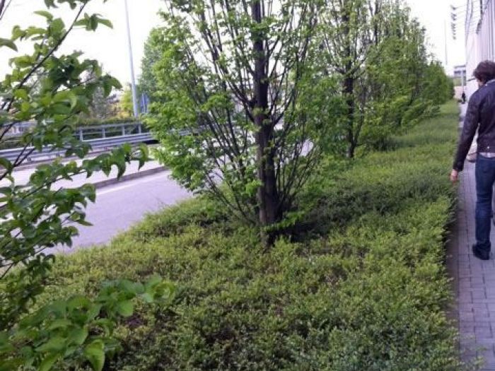 Archisio - Carlo Maria Maggia - Progetto Giardini