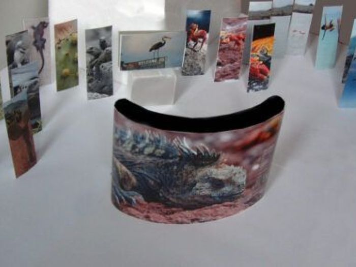 Archisio - Leolab - Progetto Minidarwin