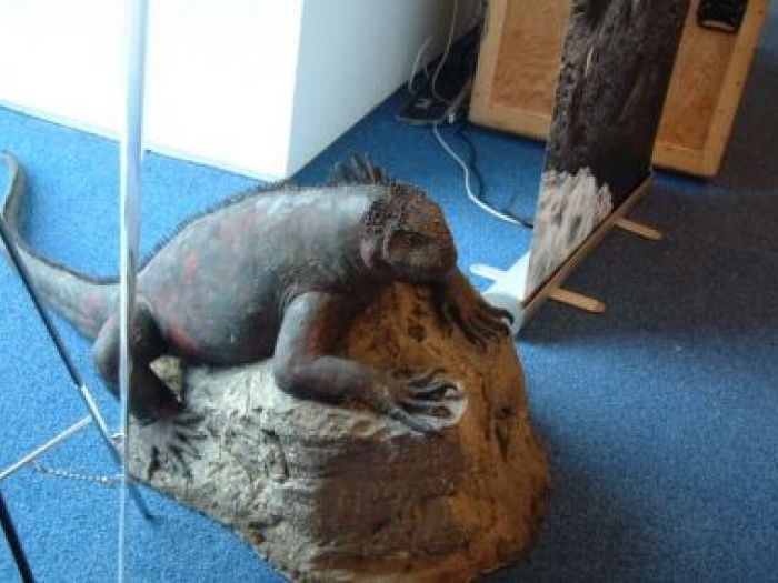 Archisio - Leolab - Progetto Minidarwin