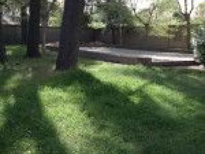 Archisio - Mageris srl - Progetto Pulizie giardini via casilina