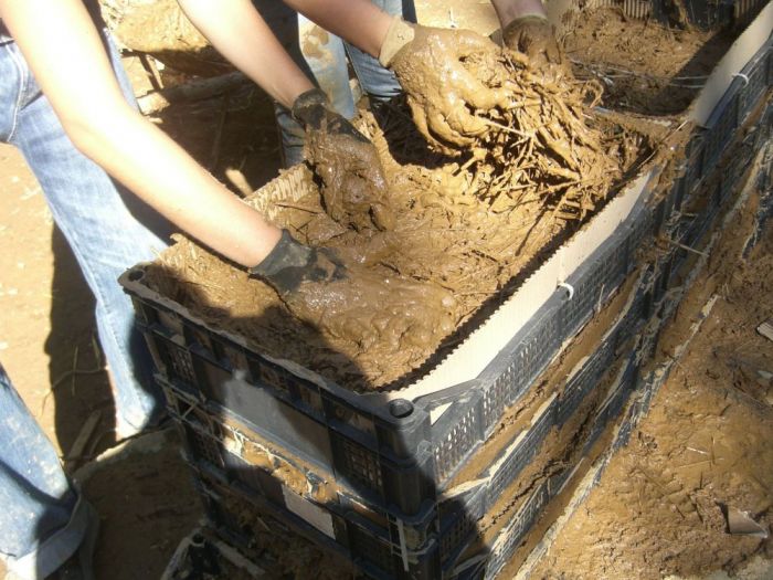 Archisio - Luxurysign - Progetto Charity