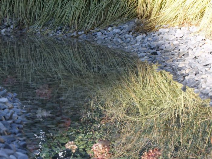 Archisio - Areaverde Consulting - Progetto Ambientazione