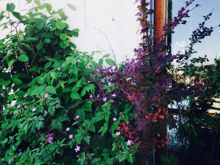 Archisio - Suingiardino Snc - Progetto Sogno di bambina